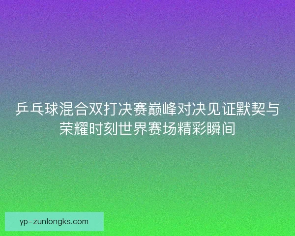 乒乓球混合双打决赛巅峰对决见证默契与荣耀时刻世界赛场精彩瞬间